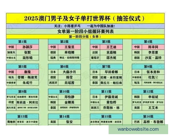 2026年世界杯晋级规则全面解析与参赛队伍分配方式详解